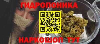 кокс Будённовск