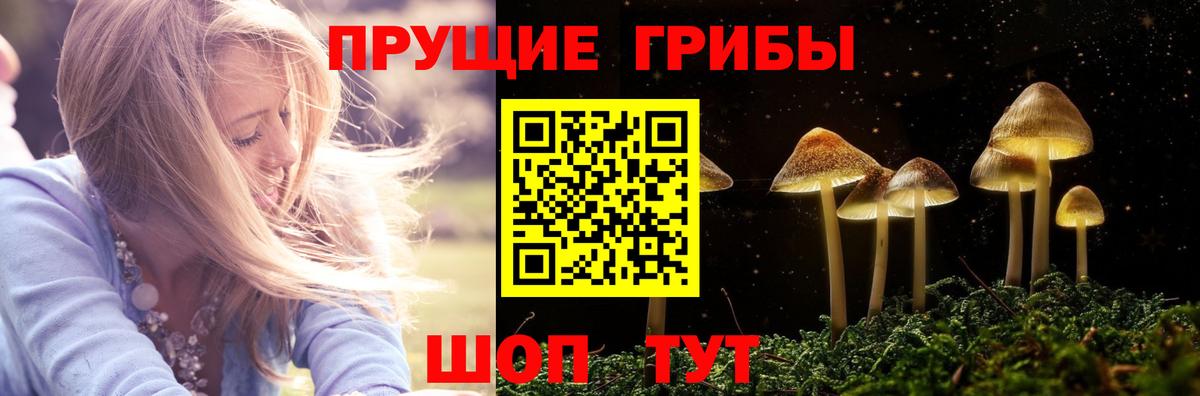 Галлюциногенные грибы Magic Shrooms  Псилоцибиновые грибы MAGIC MUSHROOMS  Серов  Вход с VPN 